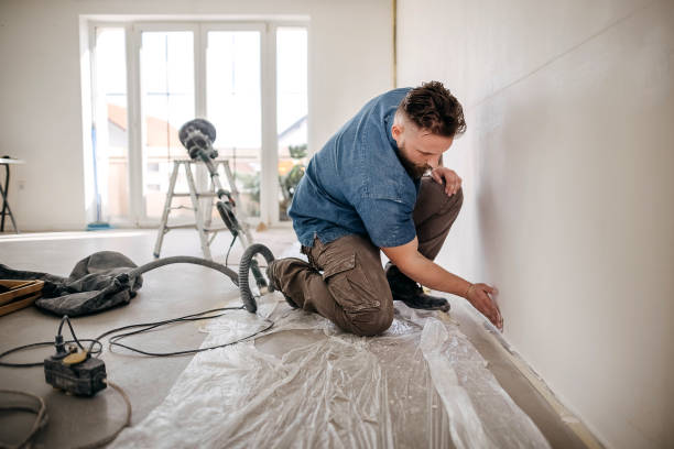 Best Drywall Texturing  in Las Lomas, CA