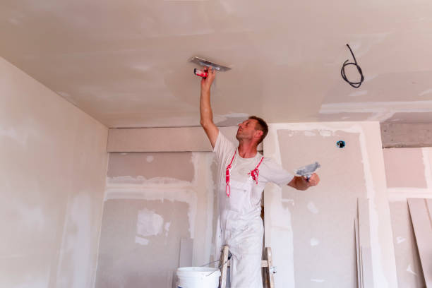 Best Residential Painting  in Las Lomas, CA